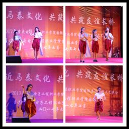 走近馬泰文化，共筑友誼長橋——我校中外學生國際交流活動文藝晚會成功舉辦
