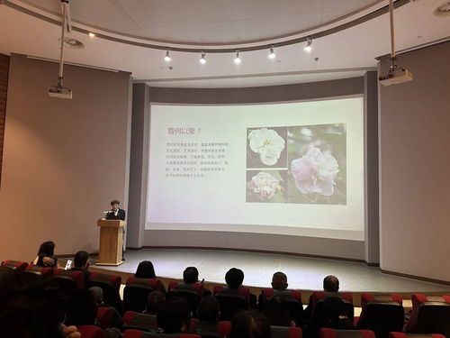 首屆芙蓉文化學(xué)術(shù)交流活動(dòng)在蓉城隆重啟幕，共繪文化繁榮新圖景